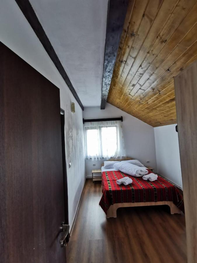 Pensiunea Alina Baia de Fier Ngoại thất bức ảnh