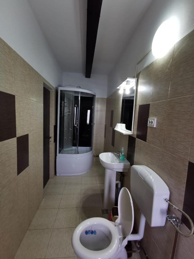 Pensiunea Alina Baia de Fier Ngoại thất bức ảnh